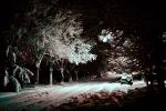 Street, Trees Covered in Snow, snow storm, Nighttime, winter, cars, CSNV01P14_09.0897