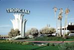 Tropicana, Hotel, Casino, palm trees, 1963, 1960s