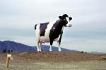 Big Dairy Cow, Amargosa Valley, CSNV06P13_09
