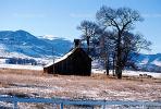 Barn, tree, fields, cold, ice, snow, mountains, CSOV01P07_16