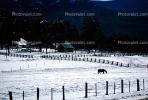 Fence, snow, ice, cold, gate, CSOV01P08_15