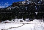 Fence, snow, ice, cold, gate, trees, Wolf Creek Pass