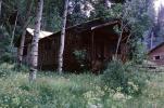 Old Miners Cabin, Snowmass