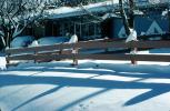 Fence, Cold Winter Trees, snow, ice, Wheat Ridge, Home, House, domestic, building