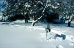 Mailbox, cold, snow, ice, Wheat Ridge, Home, House, domestic, building