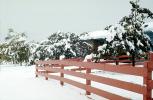 Fence, trees, snow, Wheat Ridge, Home, House, domestic, building