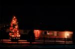 Christmas Tree, Home, House, Wheat Ridge, Colorado, domestic, building, CSOV03P06_10
