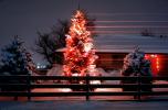 Christmas Tree, Lights, cold, Home, House, domestic, building, Wheat Ridge, Colorado, CSOV03P06_12