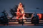 Christmas Tree, Lights, cold, Home, House, domestic, building, Wheat Ridge, Colorado, CSOV03P06_14