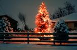 Christmas Tree, Lights, cold, Home, House, domestic, building, Wheat Ridge, Colorado, CSOV03P06_15