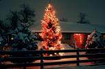 Christmas Tree, Lights, cold, Home, House, domestic, building, Wheat Ridge, Colorado, CSOV03P06_16