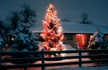 Christmas Tree, Lights, cold, Home, House, domestic, building, Wheat Ridge, Colorado, CSOV03P06_16B