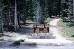 Monarch Pass, signage, trees, continental divide, 1963, 1960s