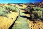 path, walkway, boardwalk, Coral Pink Sand Dunes State Park, CSUV01P08_12.0144