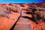 path, walkway, boardwalk, bush, Coral Pink Sand Dunes State Park, CSUV01P08_12.0897