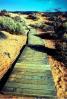 path, walkway, boardwalk, bush, Coral Pink Sand Dunes State Park, CSUV01P08_13.0144