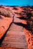 path, walkway, boardwalk, bush, Coral Pink Sand Dunes State Park, CSUV01P08_13.0897