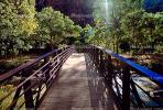 Footbridge, Virgin River, trees, Zion National Park