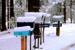 mailbox, Snow, Cold, Ice, Chill, Chilly, Chilled, Frigid, Frosty, Frozen, Icy, Nippy, Snowy, Winter, Wintry, Exterior, Outdoors, Outside, CSZV01P06_19.1745