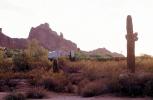 Cactus and Praying Monk at Camelback Mountain, CSZV03P06_05