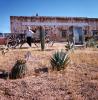 Petes Kitchen and the Nino Chapel, Cactus, Woman, Wagon, building, Tombstone Arizona, CSZV04P01_13