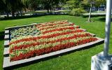 Old Glory Flag made from flowers, 3 July 2005, CTVD01_036