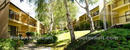 Apartment Complex, Panorama, trees, path, garden, 8 July 2006, CTVD01_084