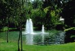 Water Fountain, aquatics, pond, trees, CTVV01P11_10.1746