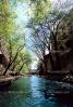 River, stream, buildings, trees, the Riverwalk, San Antonio, 25 March 1993, CTXV02P04_17.1746