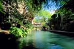 River, stream, buildings, trees, Paseo del Rio, the Riverwalk, San Antonio, 25 March 1993, CTXV02P04_18.1747