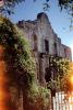 The Alamo, San Antonio, CTXV03P09_13