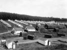 Tents, Golden Gate Park, relief supplies encampment, 1906 San Francisco Earthquake, DAED01_033