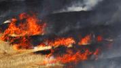Flames, Fire, Brush, Grassland, Stony Point Road Fire, Sonoma County, DAFD02_266B