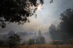 Lone House in the Smoke, Bodega, Wildland Fire, PCH, Pacific Coast Highway, DAFD03_242