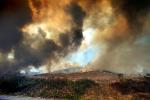Wildland Fire, DAFD03_259