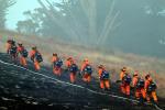 Firefighting Inmates, Wildland Fire, DAFD03_293