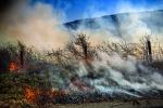 Flames, Smoke, Pacific Coast Highway 1, PCH, DAFD04_115