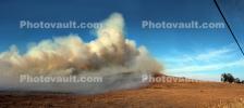 9669 on a Hill, Pyrocumulus Cloud, Flammagenitus, Cumiliform, Sonoma County
