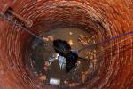 Cow in a Water Well Rescue, Sonoma County