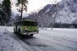 Fire Engine, snow, ice, cold, trees, forest, woodland, road, DAFV03P12_01