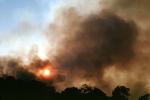 grass fire, Sonoma County, DAFV03P13_09