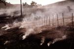 grass fire, Sonoma County, fence