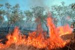 Bush Fire, Australia, DAFV04P03_15.0369