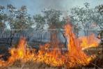 Bush Fire, Australia, DAFV04P03_15