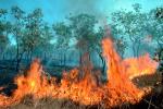 Bush Fire, Australia, DAFV04P03_15B
