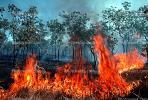 Bush Fire, Australia