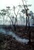 Bush Fire, Australia, DAFV04P03_16