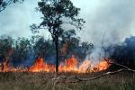 Bush Fire, Australia, DAFV04P03_18