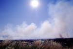 Bush Fire, Northern California