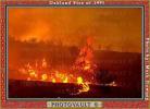 Great Oakland Fire, California, DAFV04P05_08